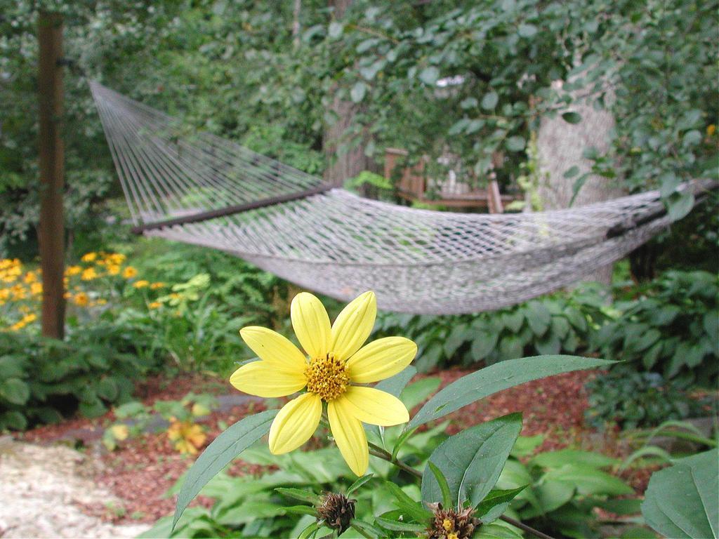 Brook Farm Inn Lenox Dış mekan fotoğraf